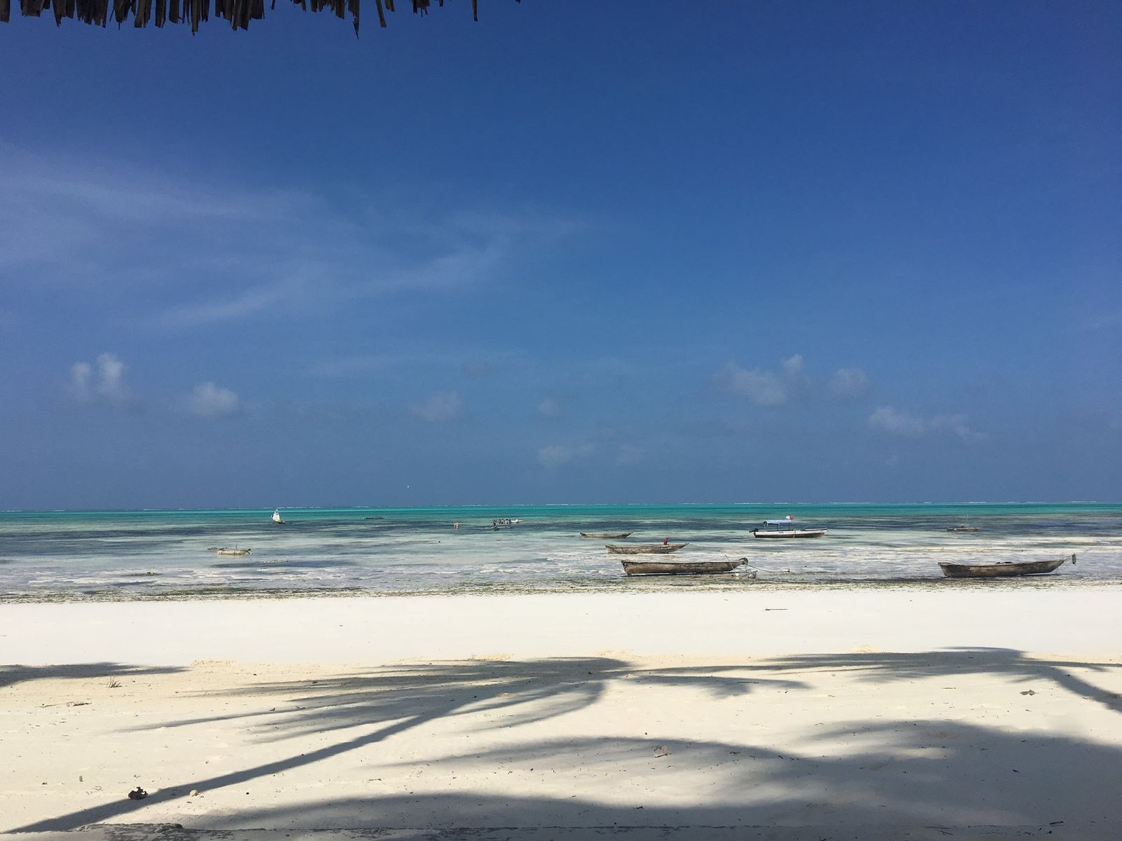 Strand auf Sansibar